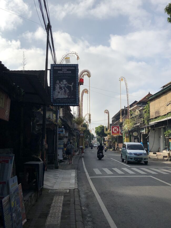 ゆっくり宿まで戻ります。全部で２時間ほどの散歩でした。<br /><br />道の左右にペンジョールが見えます。