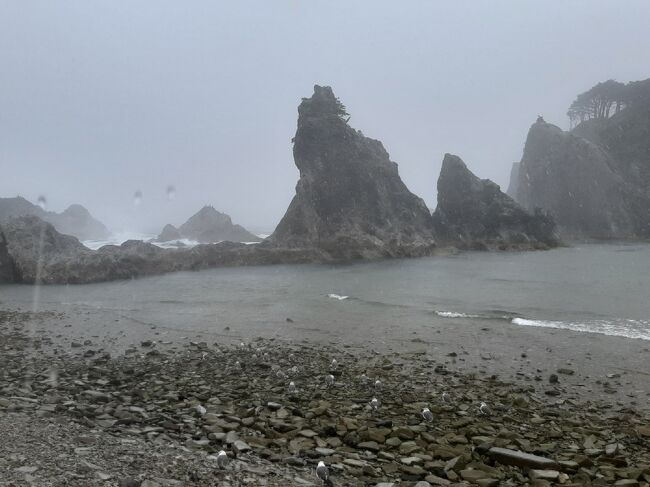 とにかく大荒れな感じなので、