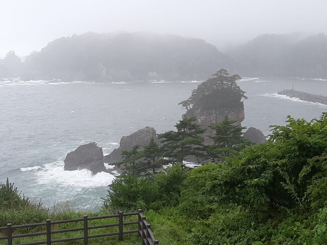 少し木が邪魔だったので、もう少し見える場所を探すとこんな感じ。