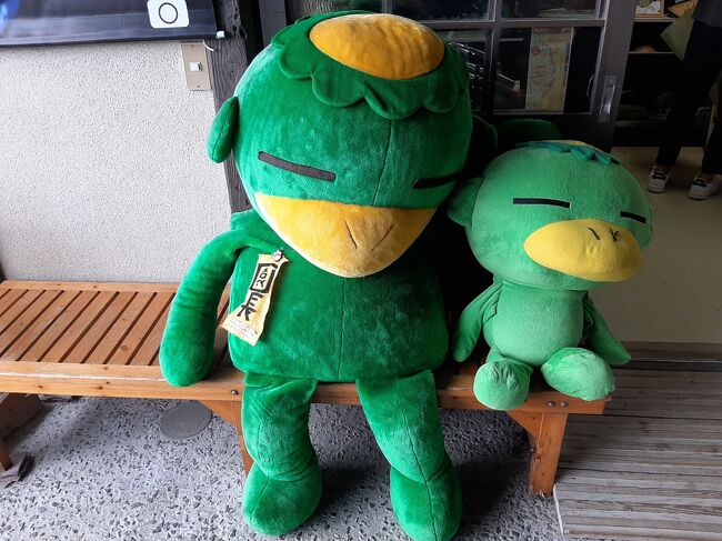 この子たちが出そうではありますが（笑）