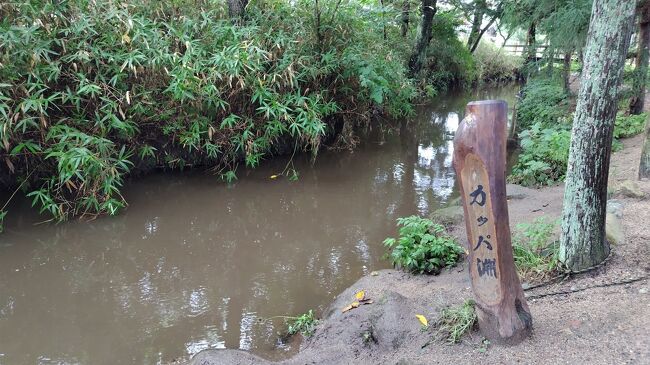 ただ、残念ながら木久扇師匠、じゃなかった、カッパはいませんでした。