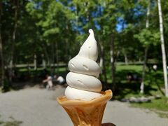 さて、ここでの添乗員さんおススメは出来立てチーズソフト400円。
北海道に来て四つ目のソフトクリームです。
信じられないくらい濃厚なチーズソフトでした。
これはヒットです。