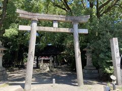 日吉神社へ。
秀吉だけでなく、信長、家康とも逸話が残されている神社です。