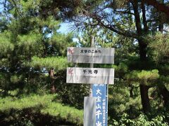 下山はロープウェイを使わずに、文学のこみちを歩いて行きたいと思います。12：54、散策開始。