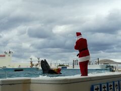 美ら海水族館でたっぷり長めの自由時間。
まずはイルカショーから。