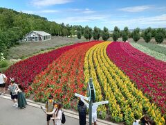 最初に着いたのがファーム富田。
残念ながら7月でラベンダーの時期はおしまいです。
けど綺麗でしたよ～。