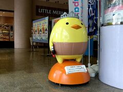 11時10分　予讃線『今治』駅。

まずは3時間近くかけて、『今治』に到着しました。駅のコンコースでは、ご当地キャラ「バリィさん」がお出迎え。。