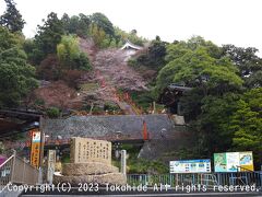 竹生島港

30分弱の乗船で竹生島に到着します。
乗船した船は『いんたらーけん』です。
雨は傘がなくてもなんとかなる程度まで弱まってきました。


竹生島：https://ja.wikipedia.org/wiki/%E7%AB%B9%E7%94%9F%E5%B3%B6
いんたらーけん：https://www.biwakokisen.co.jp/ship/interlaken/