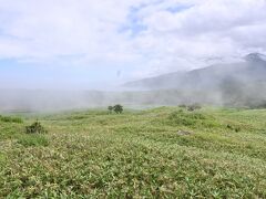 熊が出ても安全な高架木道には入れるので、こちらにいってみると、幻想的な霧が出ていました。


この8月10日が周辺では一番暑い日で、8日から16度、25度、29度、26度、15度と朝の知床五湖の気温は推移しており、一番暑い日でしたので、日陰のない高架木道では汗が出てきました。

ここにいても仕方ないので、駐車場代はもったいないですがホテル方面のウトロへ戻ります。