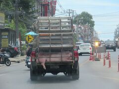 昼ご飯を食べに行こうと車を走らせていると、前のトラックの積み荷が動く・・・なんと生きた豚さんでした。この旅行でも豚肉は食べていますので、少々複雑な気分ではあります。