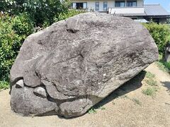 亀石
石舞台古墳へ行く途中でちょっと寄り道。
農道のような道を自転車で進むとトタン屋根の売店の隣の空き地に亀石はありました。