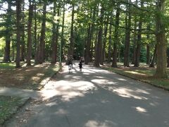 白い恋人パークの後は円山公園へ。
