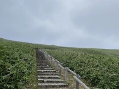 次は、本日のメイン神威岬にやってきました。
駐車場から岬までは20分程歩くようです。
しかも、強風の日は門が閉まっていて途中までしか行くことができないらしい。
風結構強いけど行けるかしら…