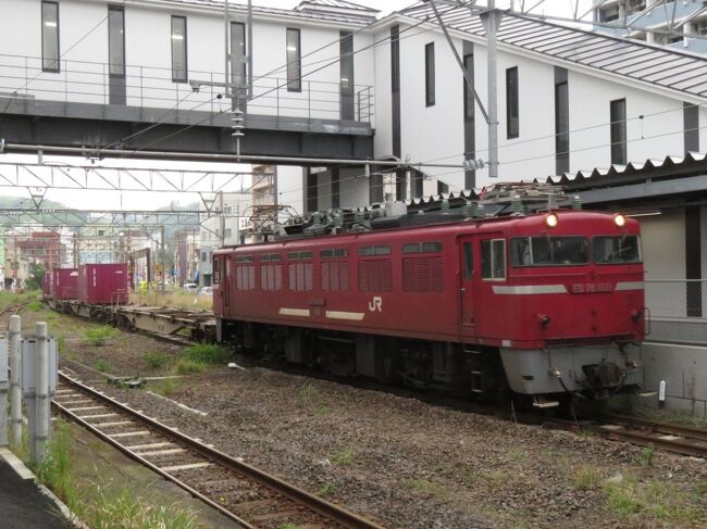 にちりん はしだてビーチ 指定席 かいもん みやざき 愛称板 /鉄道 放出品 九州乗り食い三昧（２）宮崎牛ステーキ＆ハンバーグ☆ＪＲ九州ホテル