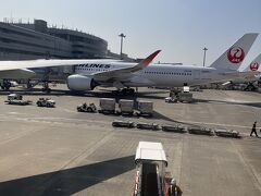 お隣はA350。
羽田ですねぇ。