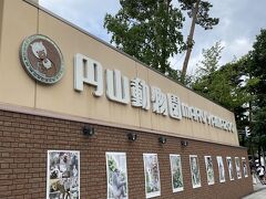 少し歩いて円山動物園へ。
以前から行きたいと思っていたのですが、アクセスが良い為かえって後回しになっていました。
なので、今回初めての訪問です。