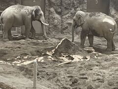 円山動物園 熱帯動物館