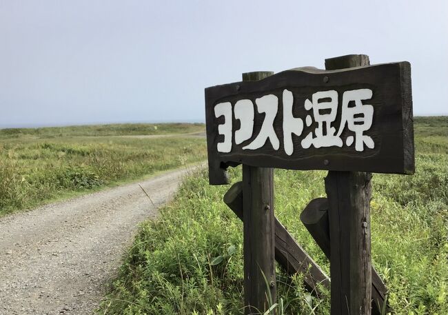 北海道の自然史―氷期の森林を旅する | 小野 有五, 五十嵐 八枝子