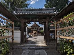 和田神社神門