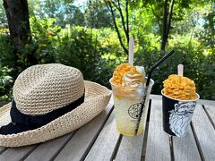 朝しっかりチェックしていたので、迷わず「マンゴーとパッションフルーツのフロート」と「マンゴーソフトミックス」を。

SNSによると、次の日にはもうマンゴーソフトは売り切れてしまったとか。
ギリギリセーフ。

しっかりテラス席もGETして、しばしまったり涼んでました。