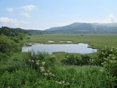 蓼科湖から1時間ほどのところに広がる、霧ケ峰高原に造られている湿原です。霧ケ峰高原の一部で、12000年以上かけて形成された湿原です。湿原を一周できる遊歩道も整備されていて、夏は多くの高山植物を見ながら散策が楽しめます。