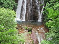 横谷観音から600mほど下ったところを流れ落ちている2段滝です。昔は横谷観音からも眺められましたが、現在は草木が成長し、観音から滝は眺められないため、急な山道を降りて行かなくてはなりません。上り下りするだけで汗びっしょりになってしまいますが、豪快に流れ落ち落ちる滝は一見の価値があります。
蓼科湖から車で2分ほどのプール平バス停から15分ほどのところを流れ落ちる、大滝と混乱している方がいるようですが、横谷峡にあるのが王滝、プール平にあるのが大滝です。
