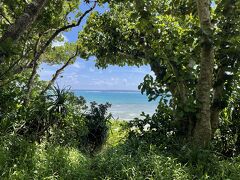 次は西の浜の南側。きのこ岩のあるところへ。

うっそうとした森から蒼い海が見えると、めっちゃテンション上がります！(#^.^#)