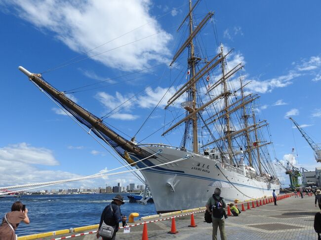 帆船 海王丸 模型 ケース付き 匿名配送 ４本マストバーク型帆船 練習船 帆船 海王丸 模型 ケース付き 匿名配送 4本マストバーク型帆船