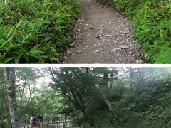 大正池からよく整備された遊歩道を歩いていきます。トレッキングシューズを履いてきましたが普通の運動靴でも歩けそうです。