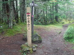 「御小屋山」山頂に着きましたが木立の中で眺望はありません