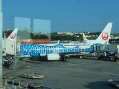 約20分遅れで那覇空港に到着。
到着は青色のジンベエジェットがお出迎え。