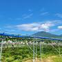 桃を買いに長野、そして、草津温泉、軽井沢へ。