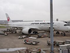 ８月２２日埼玉発見の旅を終え、羽田に来ました。飛行機を見ながら出発です。
日本航空   JA06XJ
機種 Airbus A350 XWB > A350-900
モデル Airbus A350-941
製造番号405