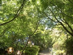 瑞龍寺にも参拝させて頂きました。
入山料として100円、門に設置している箱に入れるのですがお暇する時にすれ違った2人組が「持ってないし～」と笑いながら入山していってこっちのお口はあんぐり……罰当たりめ。