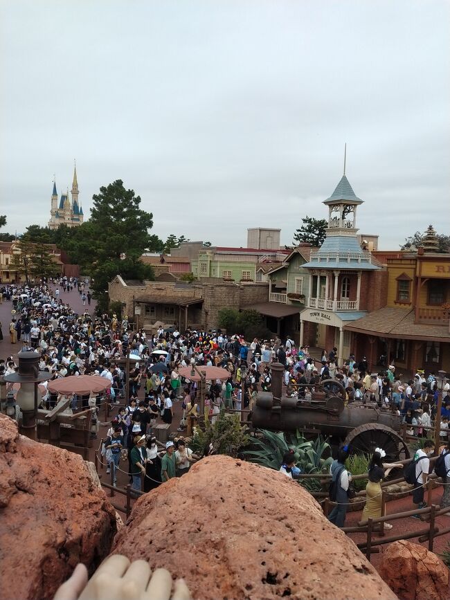 ディズニーランド&ディズニーランドホテル』東京ディズニー ディズニーランド&ディズニーランドホテル』東京ディズニー