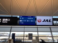 旅の始まりはセントレア
先ずは朝イチ羽田まで国内線の国際線乗継便に搭乗
JL200 NGO-HND B777-200 Class J