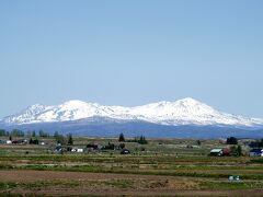 定番スポットからの残雪が残る大雪山系を。
四季彩の丘の花はまだほとんどない。だから無料で入れるのね。