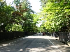 ４．仙北市角館（武家町　秋田）

　角館は秋田県南東部の内陸地にあり、１６２０年芦名氏より創られ佐竹北家に引き継がれた城下町であった。保存地区は旧武家屋敷町のほぼ中央にあり上・中級武士の武家屋敷地にあたる。広い通り沿いに塀が連続し、シダレザクラやモミの大木が深い木立を形成し、江戸時代末期時の屋敷割や主屋・門・蔵の屋敷構えとともに武家町の特徴をよく残している。

　旅行記→　https://4travel.jp/travelogue/11789180