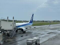 台風の影響で揺れることもありましたが、ほぼ定刻通りに宮古空港に到着しました。天候は曇りですが、台風の影響か空はどんよりとしています。