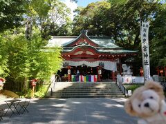 來宮神社