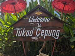 Tukad Cepung waterfall
トゥカッチュプンの滝

ライステラスからバイクで1時間かけてやってきたのは？
滝！入場料は200円