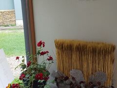 パンを求めて。
いつかお食事もしてみたい。