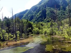 岳沢湿原の辺りに来ました。六百山をバックに上高地の代表的な風景です。