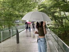 ポーラ美術館に行きましたがあいにくの雨。
いっつも箱根は雨だ！
美術館の傘をお借りしました。オシャレ。
