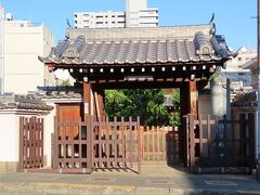 蓮成寺。常國寺の真向かい。西高津中寺町筋に東面。