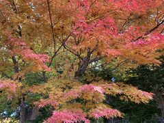 白川郷どぶろく祭りの館