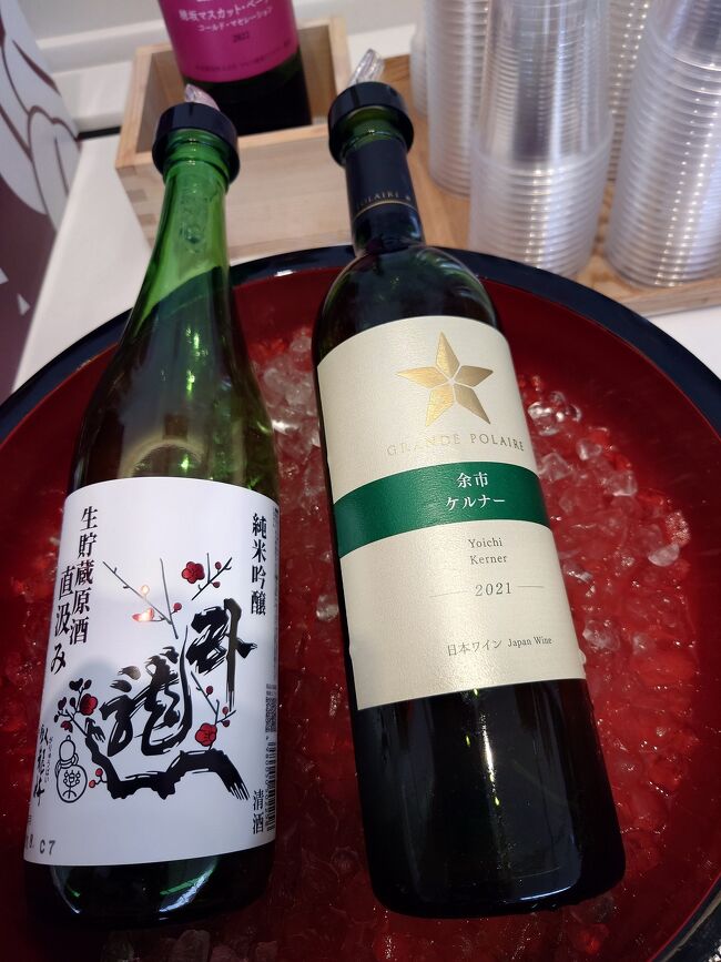 この右側のを頂きました。