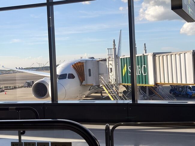 搭乗する飛行機です。