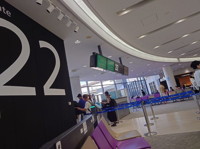 戻って来ました。