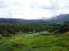 少し雲がかかっていますが、遠くまで見通せる壮大な森が見通せます。